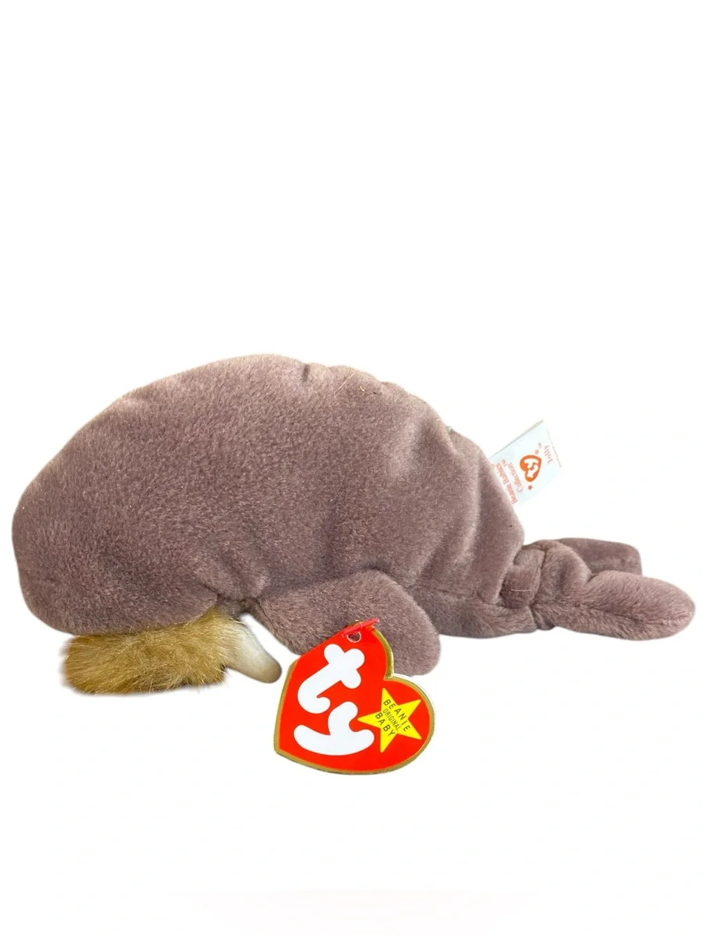 Ty Beanie Babies Jolly the Walrus 1996 Original Retired Vintage Stuffed Plush